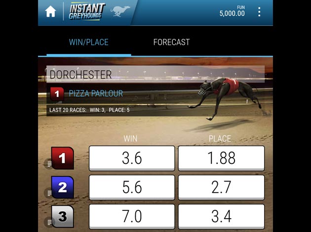 Instant Virtual Greyhounds mobile virtual sports game screenshot image