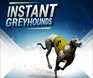 1x2Gaming Instant Virtual Greyhounds mobile virtual sports game