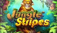BetSoft Jungle Stripes Slot Game Thumbnail Image