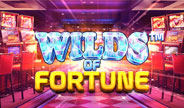 Betsoft Wilds of Fortune Slot Game Thumbnail Image