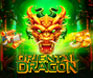 Endorphina Oriental Dragon Mobile Slot Game Thumbnail Image