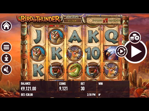 Bird of Thunder mobile Slot game screenshot image