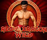 iSoftBet Red Dragon Wild mobile slot game