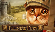 /playg-feline-fury-slot-thumbnail