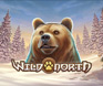 /playg-wild-north-slot-thumbnail