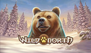 /playg-wild-north-slot-thumbnail