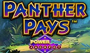 Playtech Panther Pays: PowerPlay Slot Game Thumbnail Image