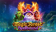 Spinlogic Magic Forest: Spellbound Slot Game Thumbnail Image