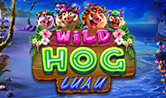Spinlogic Wild Hog Luau Slot Game Thumbnail Image